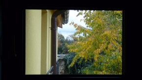 Pohled z okna - Žlutá višeň