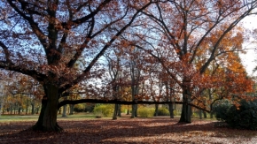 roland meneghel - rámování v parku