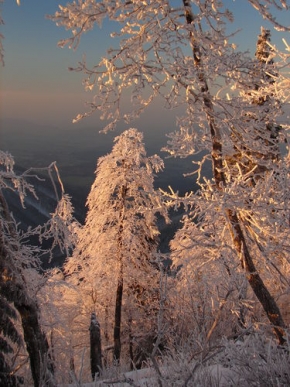 A zima je krásná - Podvečerní toulání