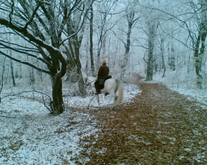 A zima je krásná - Martin na bielom koni - prišiel