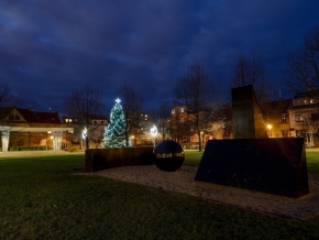 Příroda ve městě - Vánoční stromek na Habrmannově náměstí v Plzni 2. pohled