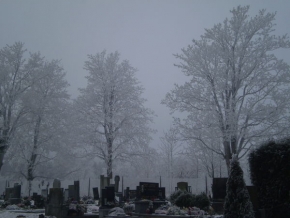 Tereza Grebenarová - Zima na hřbitově