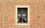 Richard Machan -Květiny v Terezínském okně