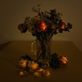 Domácí květiny - Temnosvitná