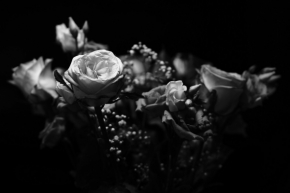 Domácí květiny - Kytice