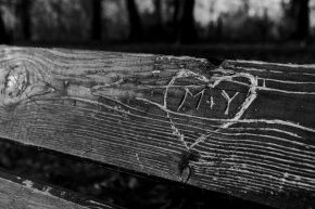Srdce a lásky čas - M+Y NAVŽDY