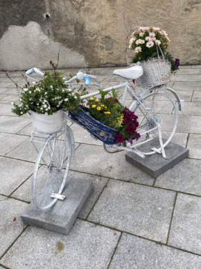 Příroda ve městě - Květinový košík