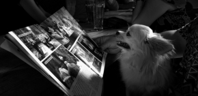 Život se zvířaty - Fotograf roku - Kreativita - VI.kolo - Vášnivá čtenář