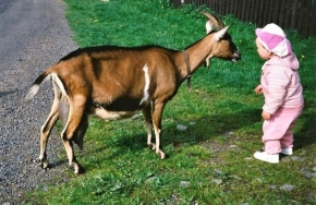 Život se zvířaty - ahoj kozo