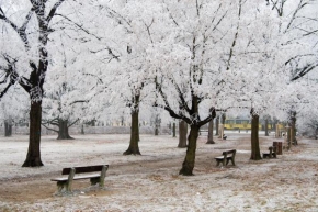 A zima je krásná - Zima v Plzni