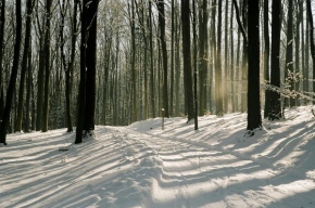 Jan Jirovský - Stíny a sníh
