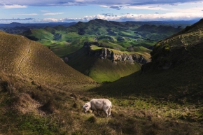 Krajina mých snů - Fotograf roku - Kreativita - I.kolo - Te Mata peak