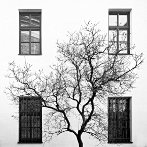 Černobílý příběh - Mezi okny