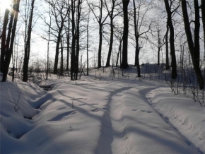 A zima je krásná - Zima v lesíku