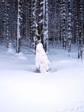 Kouzlení zimy - Stromek v kabátu