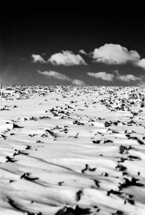 Černobílý příběh - Zimné duny