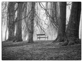 Černobílý příběh - V parku