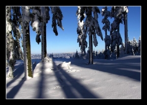 Kouzlení zimy - Fotograf roku - kreativita - Stíny
