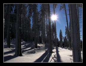 Kouzlení zimy - Krásně kýčovitá krajina