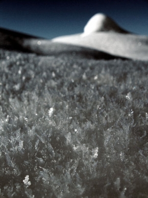 Kouzlení zimy - Fotograf roku - Ledové proměny