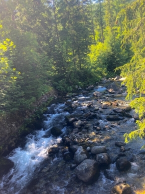 Voda kolem nás - Lesní potok