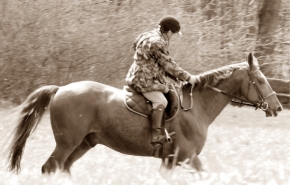 Sport je náš - trening a nebo příprava koně