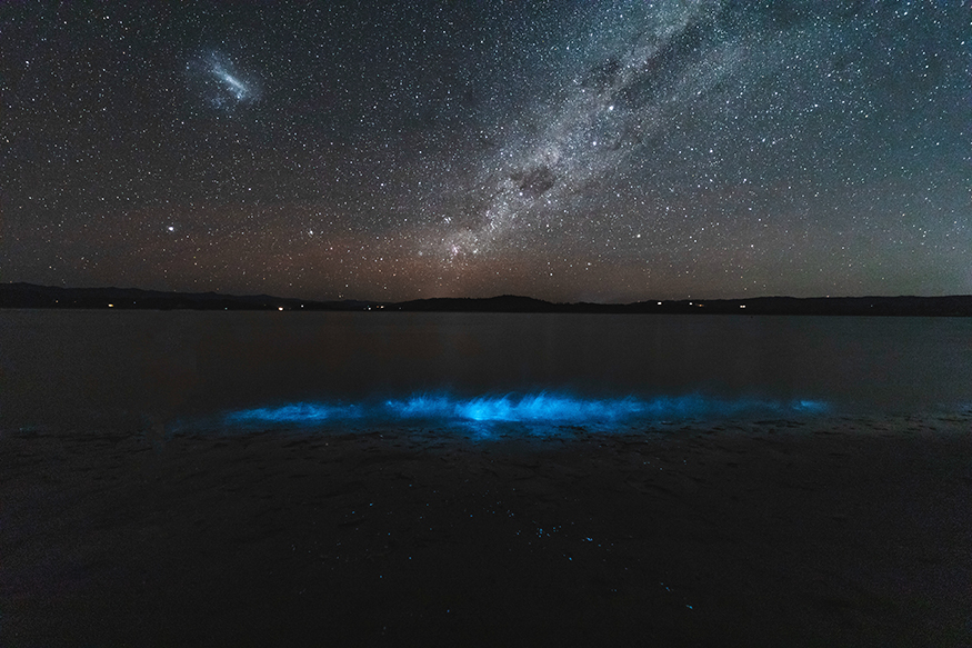 Bioluminiscenční plankton a hvězdná obloha
