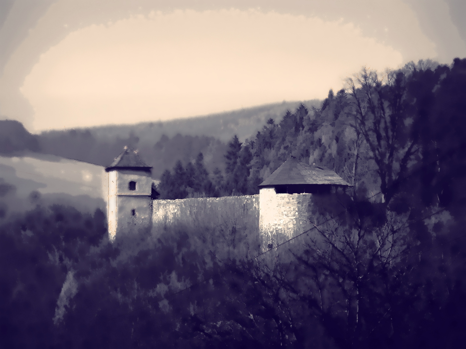Brumovský hrad