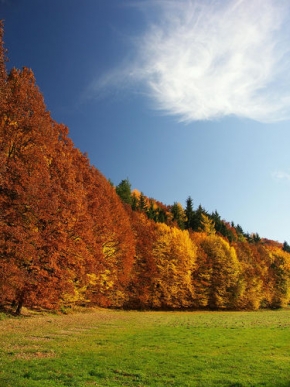 Má nejkrásnější krajina - Skutečné barvy podzimu