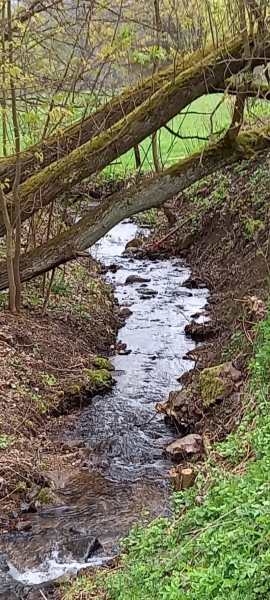 Voda kolem nás - Jarní potok