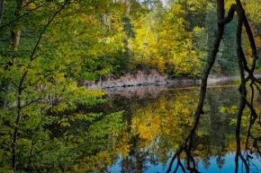 Radovan Kremlička - Barvy podzimu na hladině II