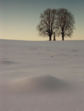 Kouzlení zimy - Vzhůru ke stromům