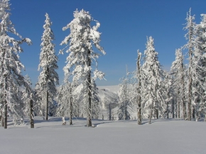 Kouzlení zimy - Beton a příroda