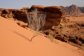 Krajina - Wadi Rum (1)
