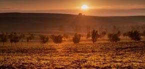 Krajina - Východ slunce nad biopásy na Moravském Slovácku