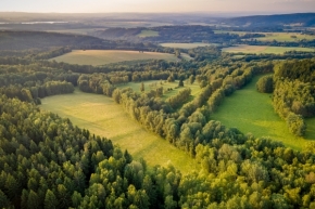 Krajina - Český les
