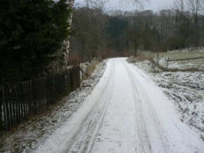 Zdeněk Černý - Cesta v zimě 2