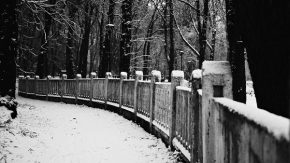 Černobílá - prvý sneh