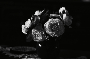 Černobílá - vôňa ruží