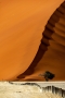 Ali Hrdinová - Strom, odvaha a vůle - život v poušti Namib