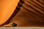 Odvážlivec (v poušti Namib)