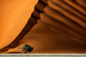 Ali Hrdinová - Odvážlivec (v poušti Namib)
