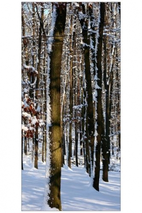 Kouzlení zimy - Slunce, Stromy a níh