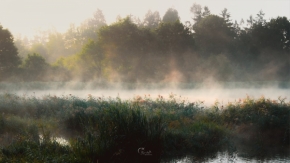 Honza Jan Musil - Mlhavé podzimní ráno