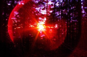 Světlo, stín a barva - čaro lesa