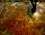 Dana Klimešová -neskutečné barvy podzimu