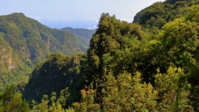Krajina - Zelená Madeira
