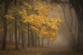 Příroda - Podzimní melancholie