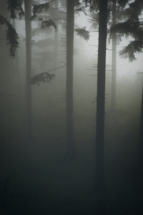 Příroda - Tma a mlha ve Slovinsku