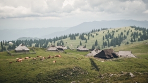 Příroda - Slovinské pohledy